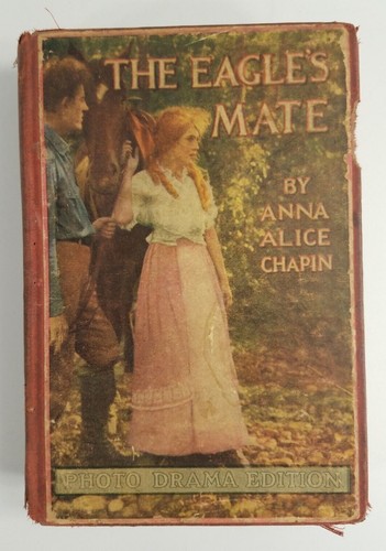 Antique The Eagle's Mate by Anna Alice Chapin hardback book 1914 - 第 1/12 張圖片