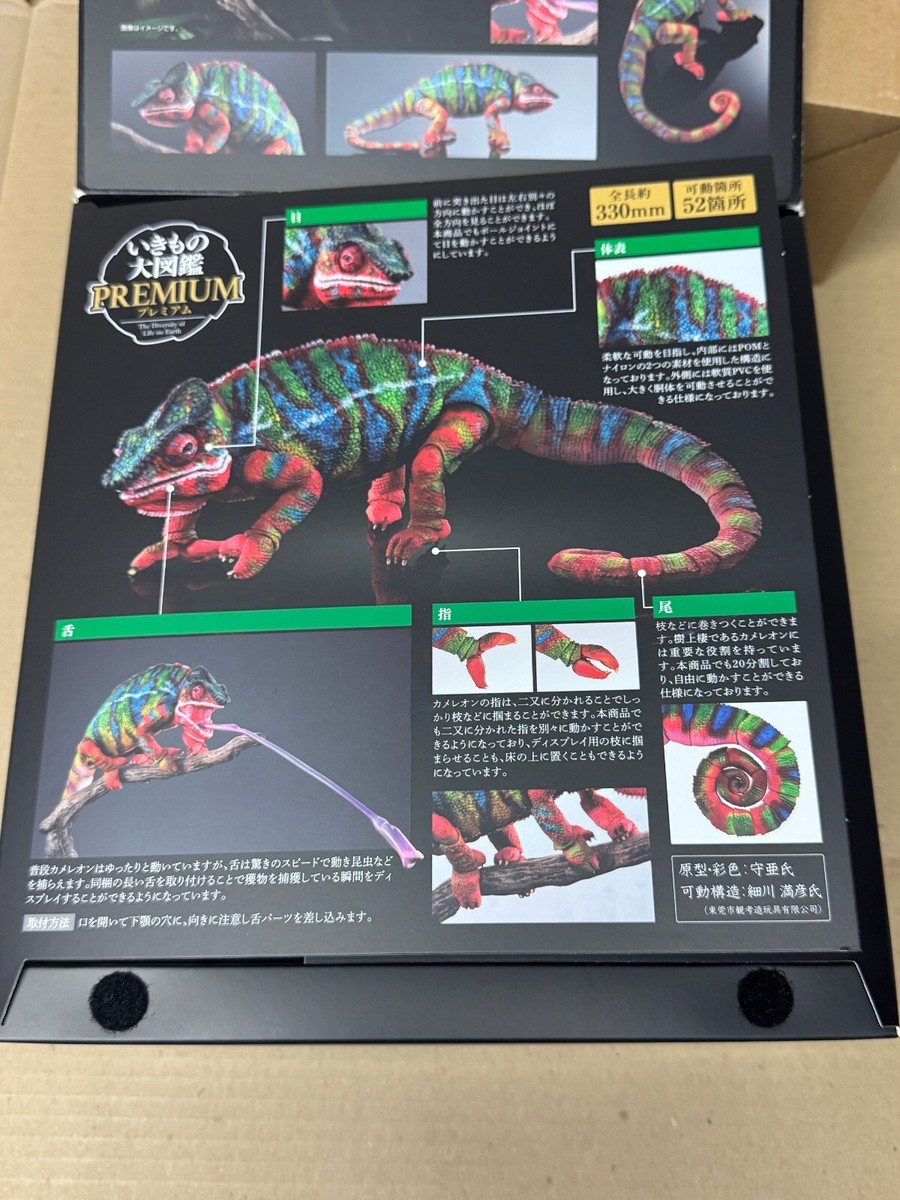 IKIMONO DAIZUKAN PREMIUM Panther Chameleon (Ambilobe, green