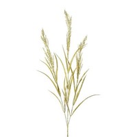 Artplants Kunst Zweig Sandrohr Butina Mit Rispen, GrüN, 85Cm