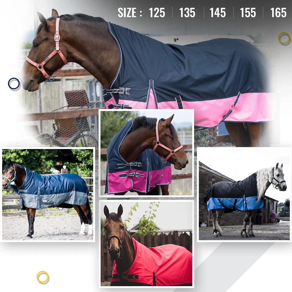 EQUITACK 1200D Pferdedecke Outdoor Winterdecken Weidedecke mit 100G Füllung Highneck