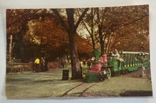 Vintage Postcard~ Zoo Line Railroad Forest Park St Louis Zoo ~ Missouri MO