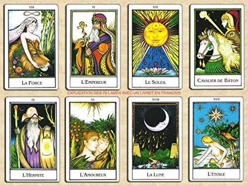 TERRE DIVINATOIRE Le Nouveau Tarot Palladini - 78 Cartes - Cartes de voyance tarot divinatoire