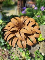 Edelrost Blume Helia Edelrostblume Metallblume Blume Rost Metall Gartendeko