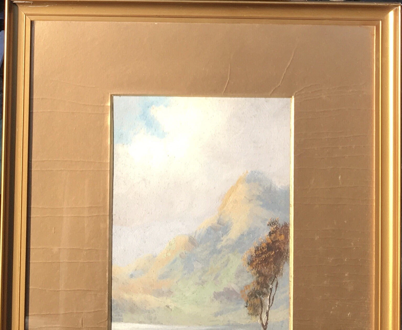 Picture 10 of 12
