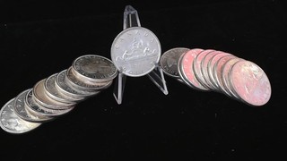 Lot of 19 Canadian Silver Dollars 80% Nice Coins