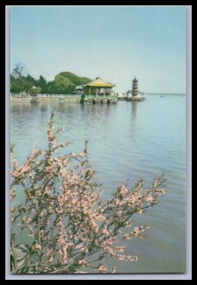 Ansichtskarte Li Yuan / Li Lake - China
