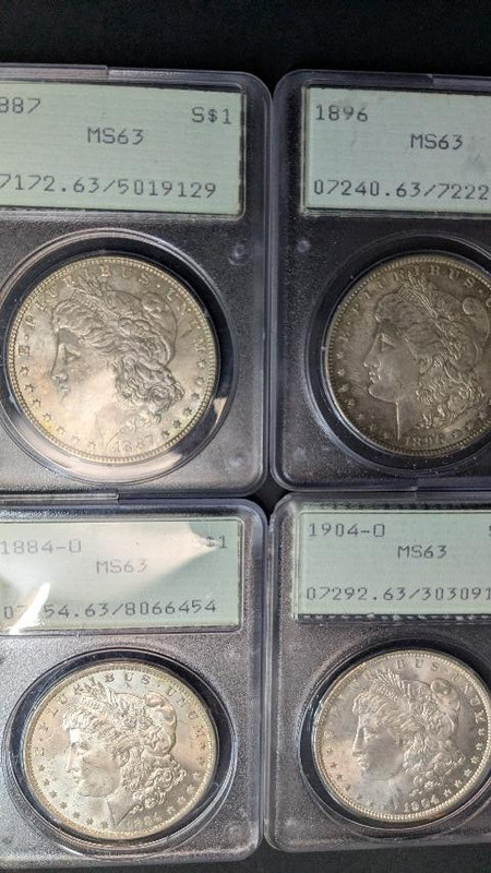 Lot of 4 PCGS MS 63 Morgan Silver Dollars OGH Uncirculated Rattler Holders