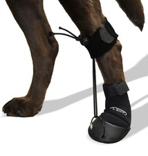 WALKABOUT Original Toe'sUP Anti-Knuckling Aid Boot for Dogs Medium 1 Count