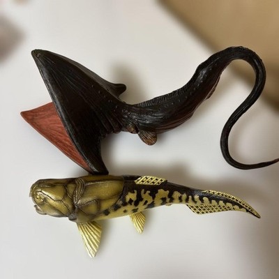 Pelican Eei (Gulper Eel) Figurine by Safari Ltd., 23cm in length, deep-sea fish.