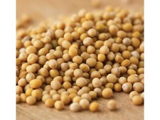 Mustard Seed Spice Spices Seasoning 5 Pounds Free Shipping