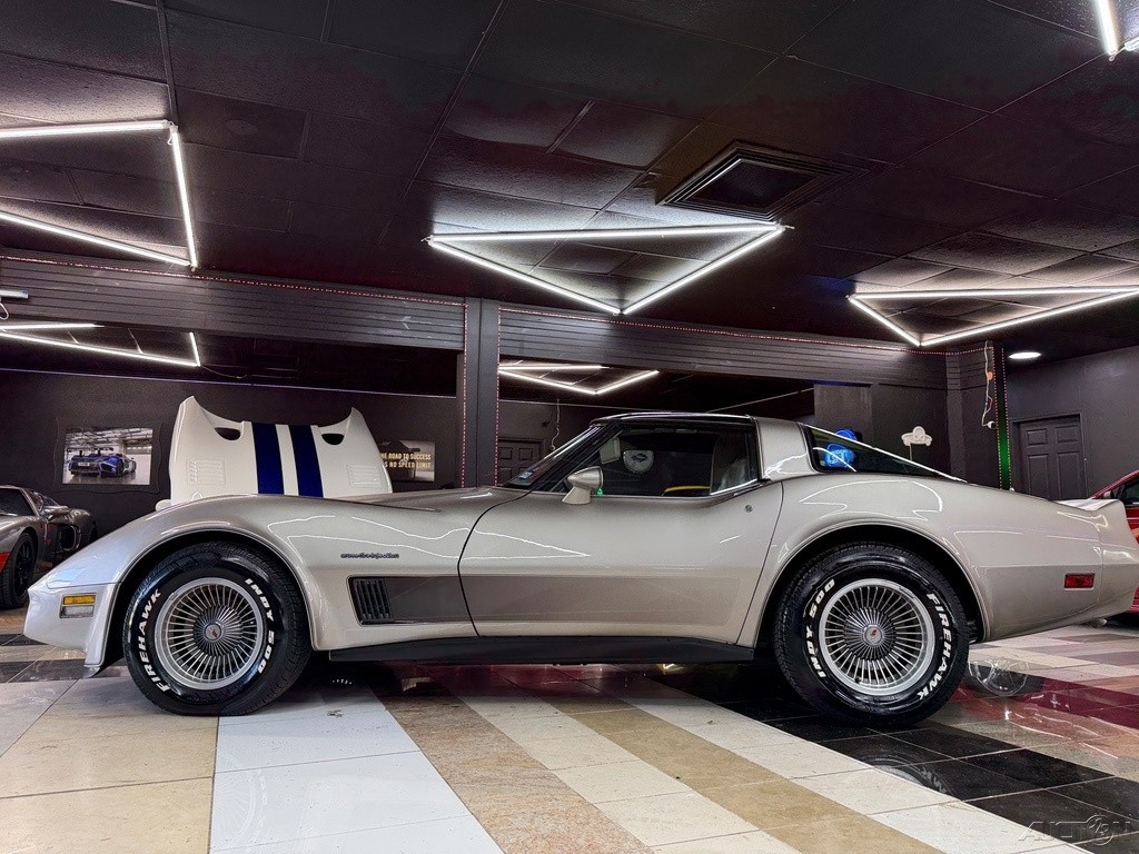 1982 Gray Chevrolet Corvette   | C3 Corvette Photo 6