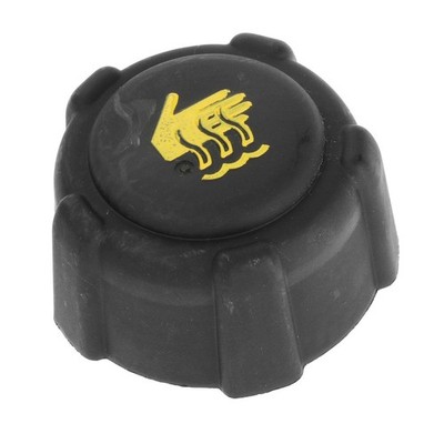 Engine Radiator Water Tank   Replace for Renault Clio Kangoo Laguna Megane