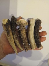224.Knife Handle Material.Red Deer Horn Knife Handle.(NATURAL).
