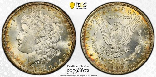 1882 CC Morgan Silver Dollar - PCGS MS65  - Gorgeous Golden Brown Toning