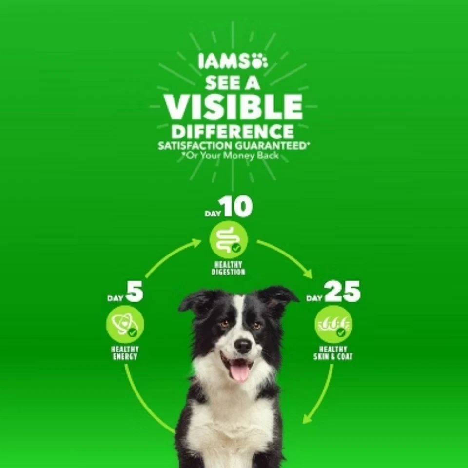 Alimento seco para perros IAMS Proactive Health Minichunks sabor cordero y arroz Foto 4 de 4