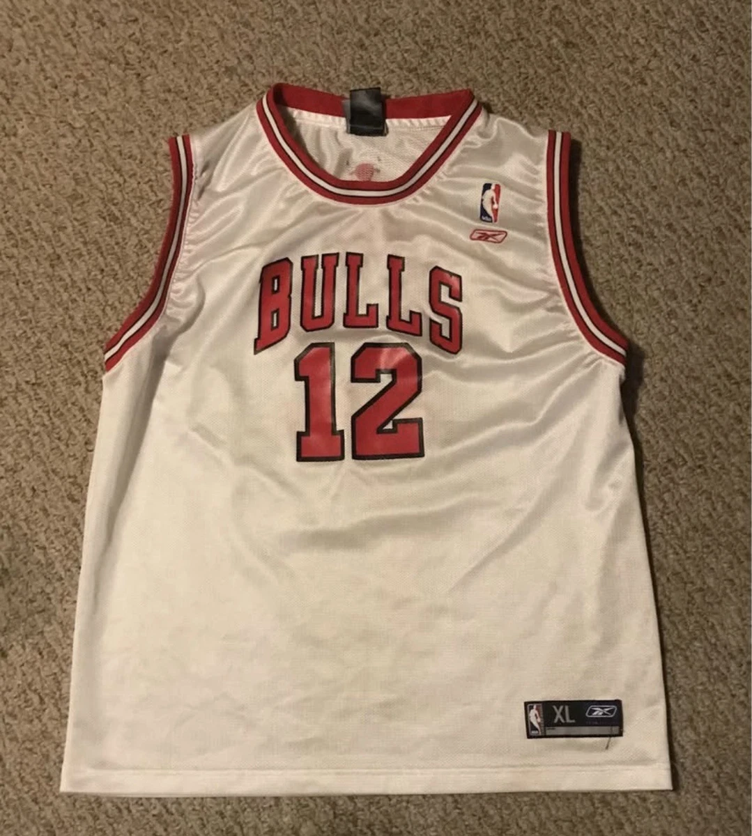 kirk hinrich jersey products for sale | eBay