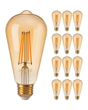 EDISHINE 12 Pack Vintage LED Edison Bulbs 8W Equivalent 60W, ST64 Led Light Bulb