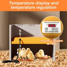 Chick Brooder Heater Plate Digital Temperature Control Adjustable Brooder Heater