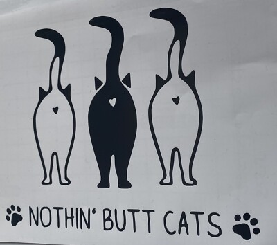 1x Katze Humor Vinyl Aufkleber Abziehbild Auto Grafik Van Fenster Camper 6,5x5 Zoll