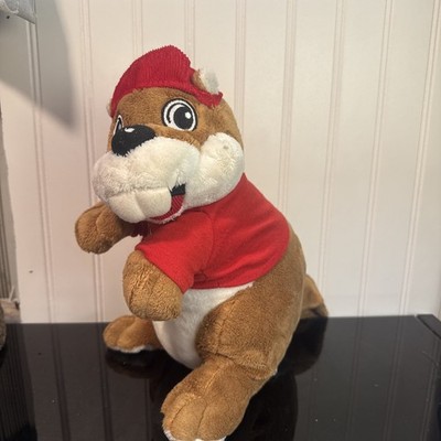 Buc-ee's Jaag Beaver Plush 12'' Bucees Stuffed Animal