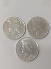 1923-P D S Silver Peace Dollars Philadelphia Denver San Francisco  Blast White