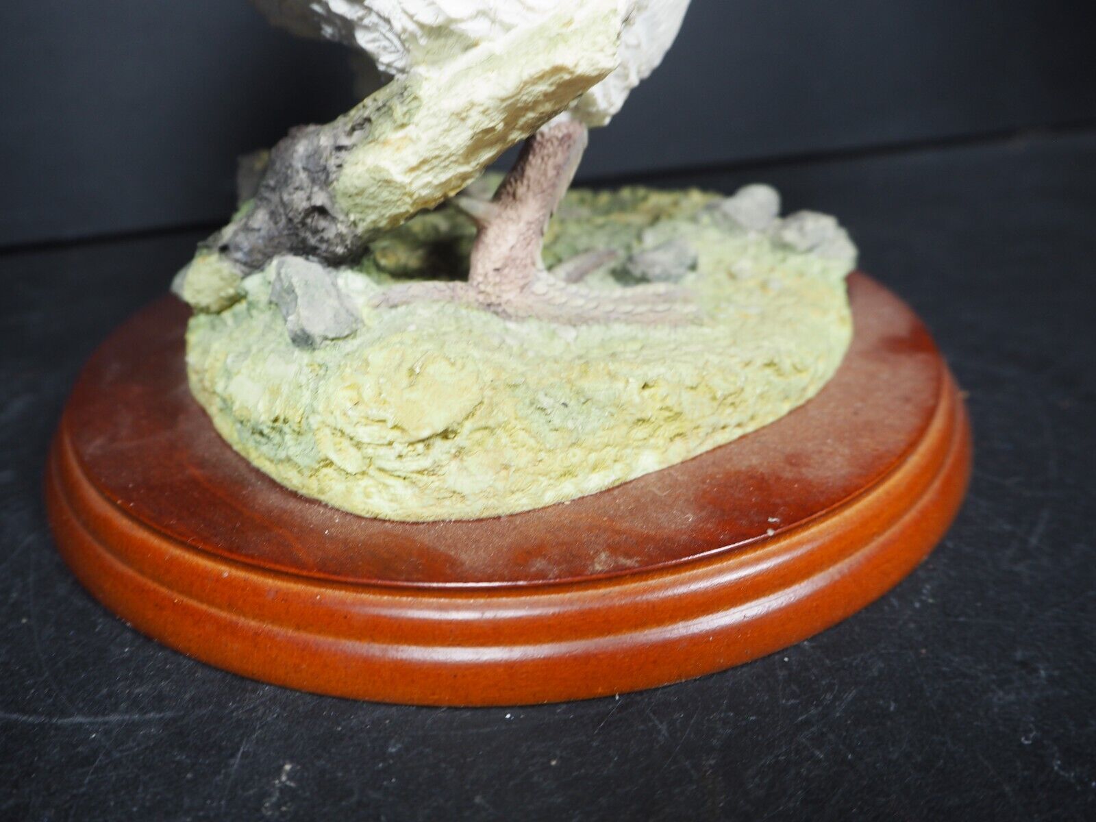 Picture 9 of 15