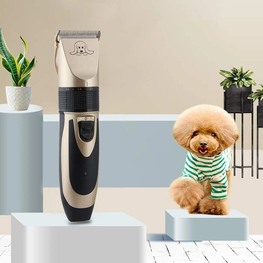 Professional hair clipper dog