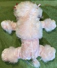 Foto 4 di 9