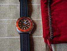 Delma Shell Star