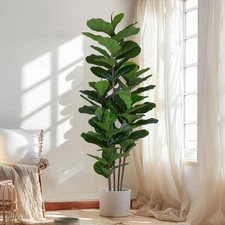 Faux Fiddle Leaf Fig Tree 6 FT - Artificial Ficus Tree with Tall Artificial P...