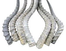 Impala Horn, African Impala Antelope Horn - Size Approx 18" (measured straight)