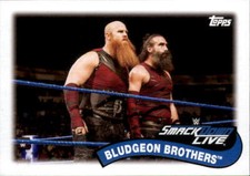 Bludgeon Brothers 2018 Topps Heritage WWE Tag Team & Stables Card #TT-8