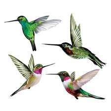Anti-Collision Window Clings / Decals to Prevent Bird Strikes on Window Glass -