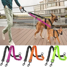 Nylon 2 in 1 Double Dog Leash No Messy Reflective Two Dog Lead Adjustable Strap