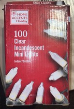 Home Accents Holiday 100 Clear Incandescent Mini Lights