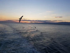 Digital Image Picture Photo Wallpaper Background Beautiful Art # 327