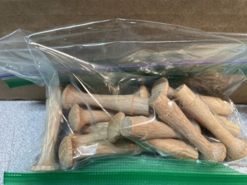 CRAFT WOOD PIECES LOT of 6 KINDS NIP NEW NEVER USED MADE USA LOT 7 - Picture 2 of 7