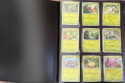 Pokémon Perfect Order Complete Base Set including EXs