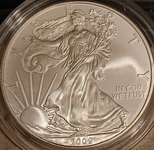 2009 Silver Eagle 1 oz CHOICE BU MS GEM UNC .999 fine Silver Bullion Coin