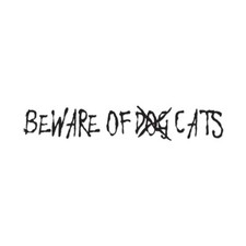 Beware of Cats Dog - Vinyl Decal Sticker - Multiple Color Sizes - ebn97