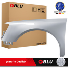 Wing for VW PASSAT B6 LA7W left silver 05-10 front fender painted reflexsilver