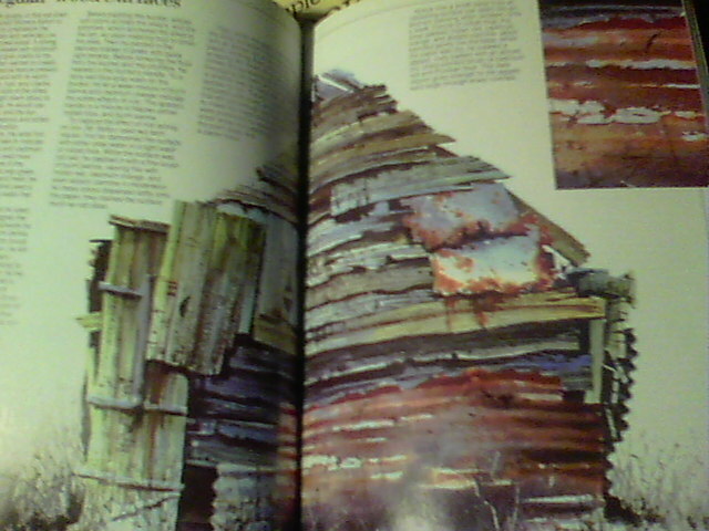 Picture 5 of 8