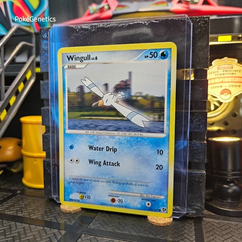 Wingull Great Encounters Pokémon TCG 95/106 Diamond & Pearl Common - Picture 2 of 6