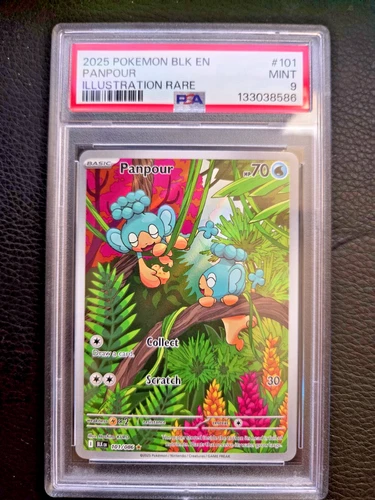 Panpour - 101/086 101/086 SV: Black Bolt NM Pokemon Illustration Rare PSA 9