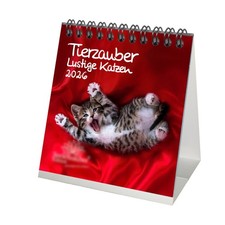 Tierzauber lustige Katzen Tischkalender 10cm x 10cm für 2026 Lustige Katzen - Se