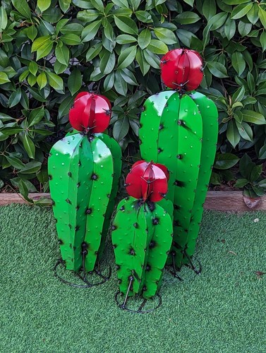 Decoración de jardín familiar de cactus de 3 decoraciones de cactus para tu patio | Pintado a mano - Imagen 9 de 12