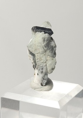 Neptunit Kristall | Natürliches Mineralpräparat