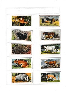 Full set of 50 British Wild Life (& Co. Ltd) Cards from Brooke Bond Tea.