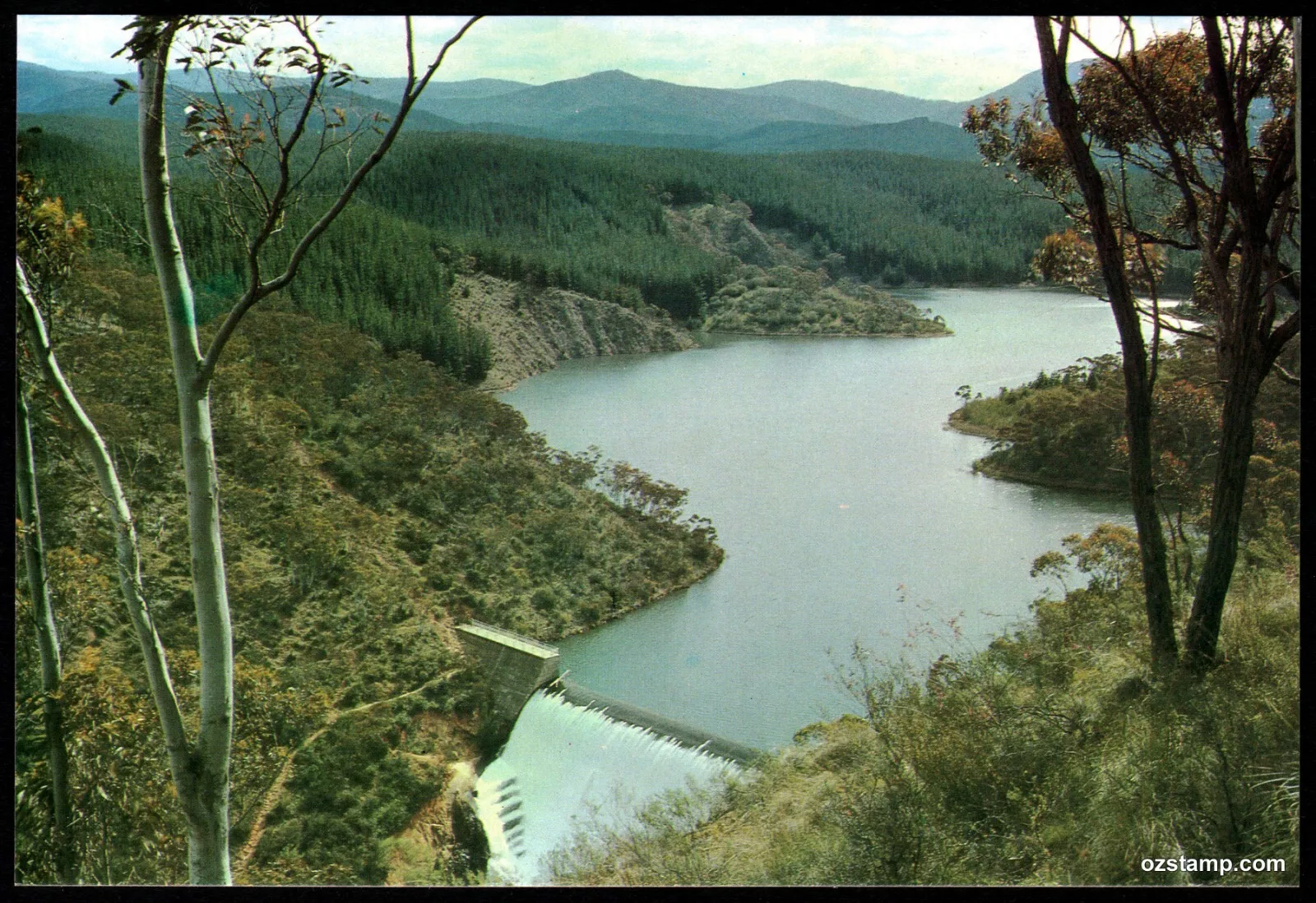 Picture 45 of 122