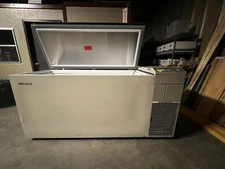 thermo fisher scientific Freezer
